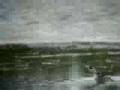 videos de Red-necked Phalarope