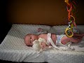 Blythe Elizabeth