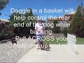 Teaching the dog to back up - revisited