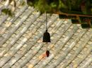 Windbell Windbell