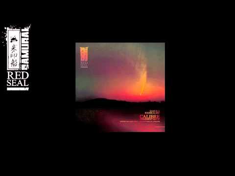 calibre - http://www.surus.co.uk/samurai-music/judgement-day-ep-12271.aspx.