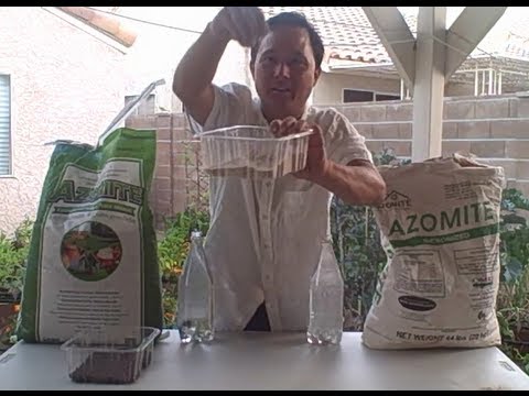 how to apply azomite to garden