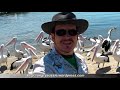See Video