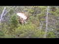 07 cape breton mikmaq moose hunt 2