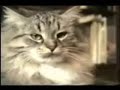 chat d�lire