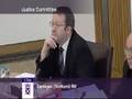 Justice Committee hears lawyers testify asbestsos plaques ar