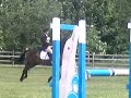 Uprising II Salperton Park Horse Trials Showjumping 2008