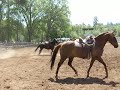 Bryan Neubert Clinic Penn Valley 2007