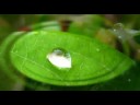 After the Rains
