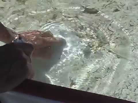 how to patch a pool liner underwater
