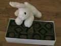 Love X Chocolates - A Midsummer Night's Dream Style