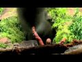 Lost Hommage Saison 6 Violence / Tribute Violent Season 6