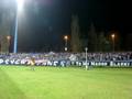Ruch Chorzów - Śląsk Wrocław (11.11.08) [3]