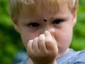 The Eyes of a Child