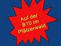 Die Bundesstraße 10 im Pfälzerwald - Logistik vs. Natur- und Landschaftsschutz?