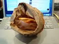 lunch.