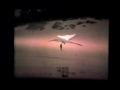 Hang gliding ground effect Moyes towing Hang gliding ground effect Moyes towing