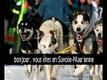 Quelque part en France, une base polaire secrète...