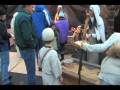 BV2007.mov