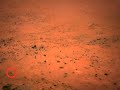 衝撃映像　火星に生物　実写　matchnews