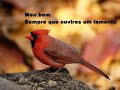 Saudades do Brasil em Portugal - Marly Gonçalves