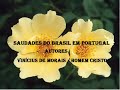 saudades do brasil em portugal   marly gonçalves