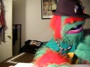 greengo rips into john from chikarafans.com