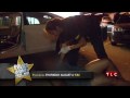 Police Women of Broward County Sneak Peek: Meet Ana