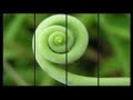 Luar Na Lubre - Canto de Andar