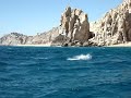 School of mantas jumping out of water in cabo san lucas