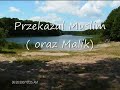Hadis Qudsi