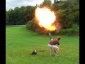 Potato Gun EXPLOSION!