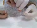 esto es una carniceriaaa!! jajaja