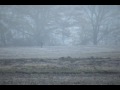 KY Hunting trip 2009 season.wmv