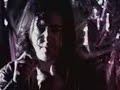 Babasonicos - Poder Ñandú (vivo Formosa)