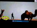 Dhoondein official video