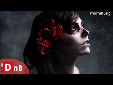 how to isolate tweet