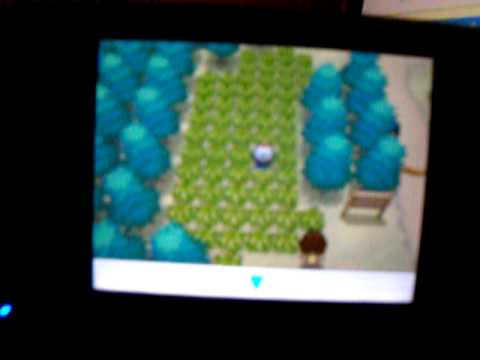 how to patch using tsukuyomi