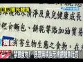 麵包空瓶亂丟魚池中正紀念堂鯉魚暴斃
