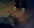 Lazer VS Dawg