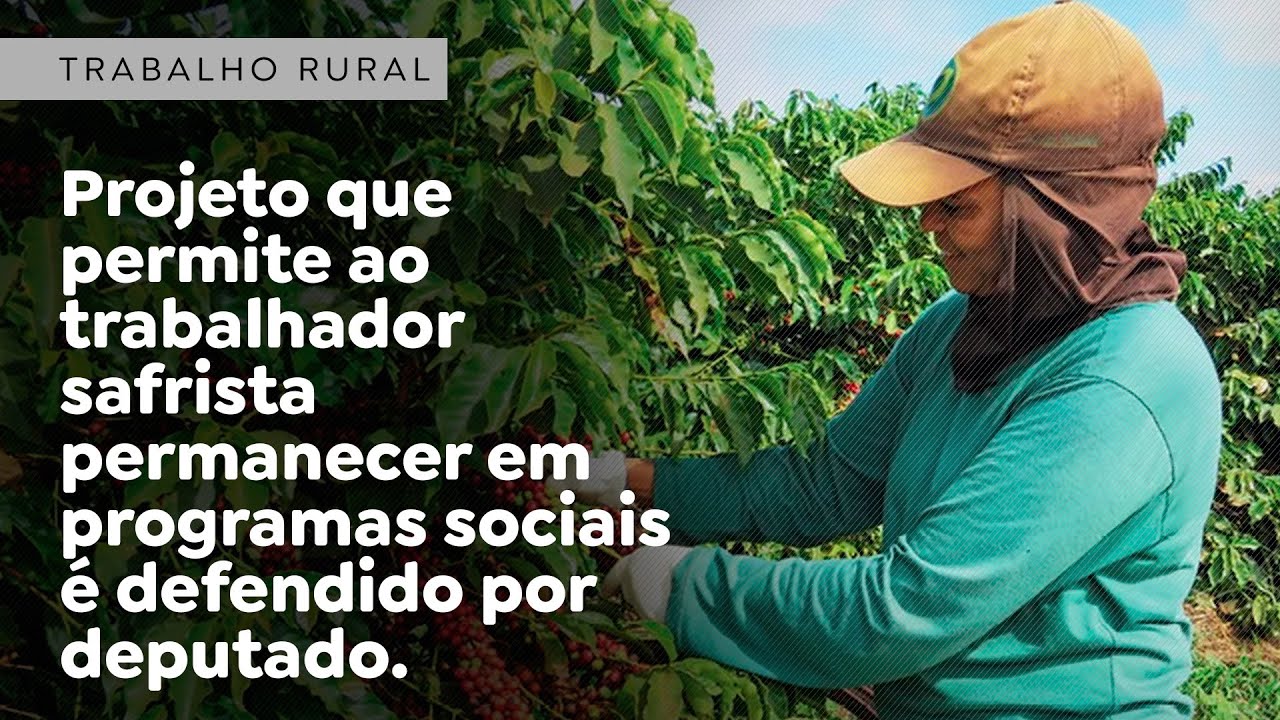 Projeto que permite ao trabalhador safrista permanecer em programas sociais é defendido.