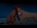 videos de lion king 2-secret valentine