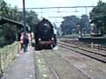 50 serie komt binnen in station dieren