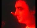 babyshambles