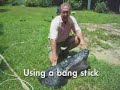 Gator huntin\