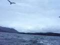 Fishing of the coast of Donegal
