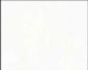 Mrs. Capsule - Windowcleaning