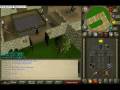 videos de just4u2nv jr and zezima