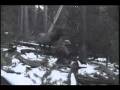 Ek hunting with a bow.