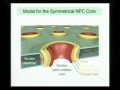 Prof. Günter Blobel - Nucleo-cytoplasmic Traffic